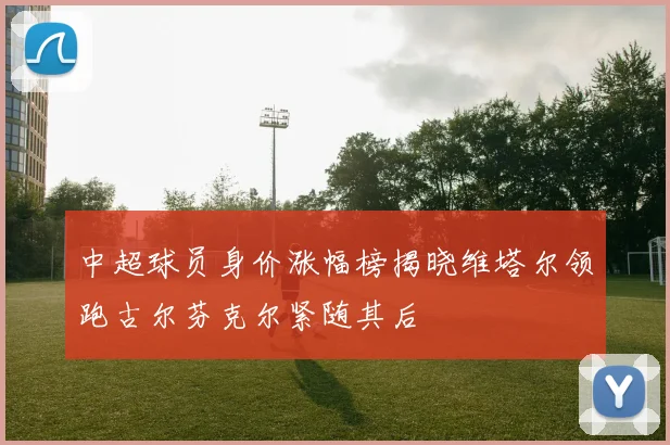 中超球员身价涨幅榜揭晓维塔尔领跑古尔芬克尔紧随其后