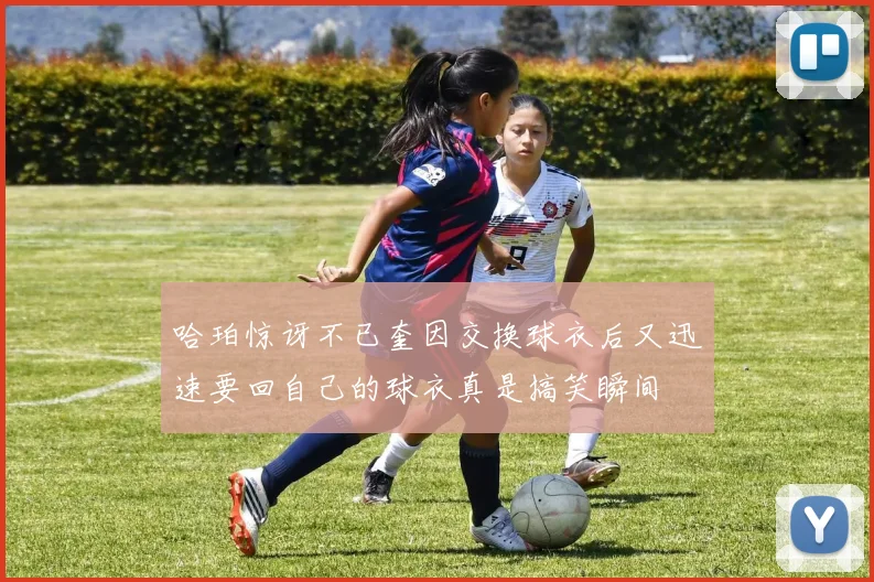 哈珀惊讶不已奎因交换球衣后又迅速要回自己的球衣真是搞笑瞬间